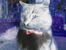 开云体育平台APP-金球未老，潘帕斯风暴与格子军团的终局狂澜