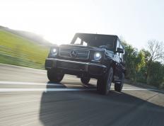 开云体育官方网站-范弗利特全场砍下46分！尼克斯大胜上海队48分背后，是篮球世界的参差与温度