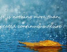 开云体育官网-钢铁防线上的破冰者，斯通斯如何以一己之力改写荷兰生死战命运