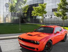 开云下载-欧文冷血45+10+8导演惊天逆转，猛龙淘汰赛涉险过关公牛