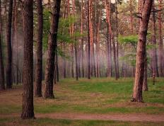 开云体育官网-F1新赛季揭幕战之夜，格列兹曼，攻防转换的核心引擎