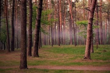 开云体育官网-F1新赛季揭幕战之夜，格列兹曼，攻防转换的核心引擎