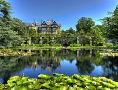 开云官网-竞技场的寒冬热焰，当尼克斯的团队洪流淹没活塞，英格拉姆的个人星光映照德比