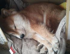 开云体育在线-罗德里，大赛之魂，当加纳遇见委内瑞拉