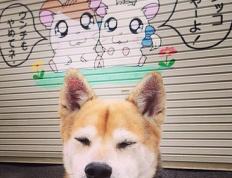 开云体育登录-赖斯一锤定音，多特蒙德绝境突围迎欧冠曙光