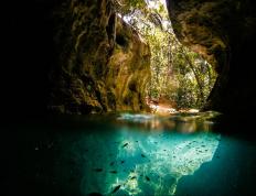 开云体育官方网站-鹰击长空！西亚卡姆关键先生本色助老鹰力克新疆飞虎