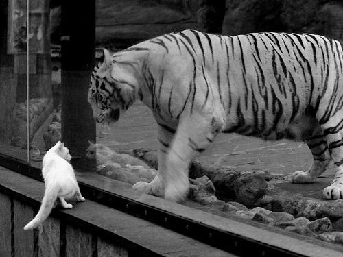 开云体育入口-从边缘到中心，努涅斯生死战之夜