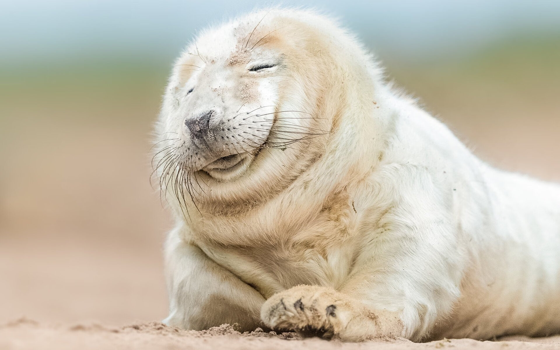 开云APP-掘金强压公牛，武切维奇关键回合不手软