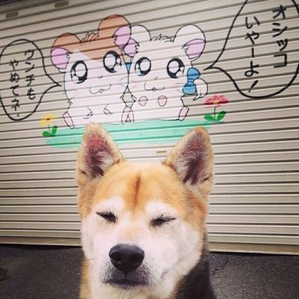 开云体育登录-赖斯一锤定音，多特蒙德绝境突围迎欧冠曙光