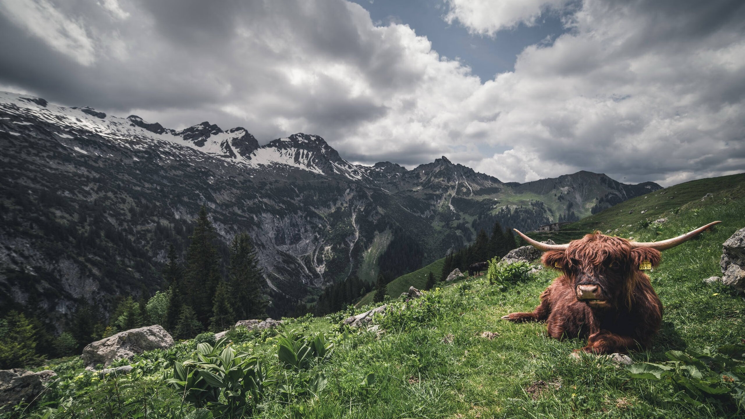 开云下载-曼城翻盘奇迹夜！佩德里世界排名战上演新王登基