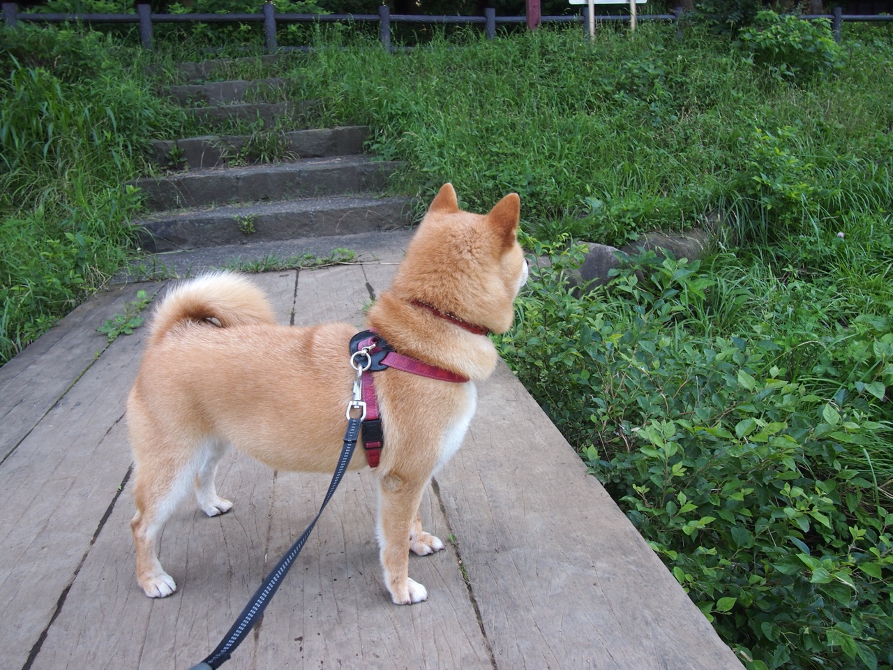 开云体育平台APP-绝杀与接管，体育赛场上的永恒传奇