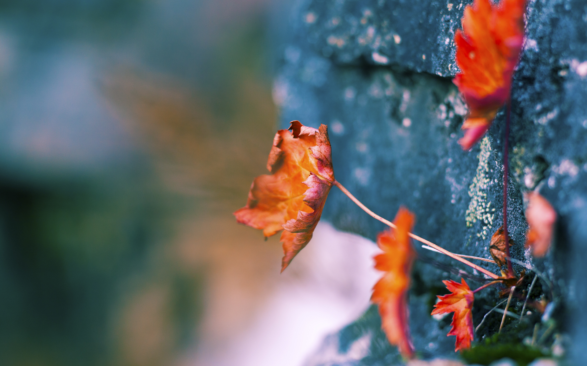 开云体育在线-雷霆队末节逆袭血拼上海队，拉梅洛超神一战成关键先生