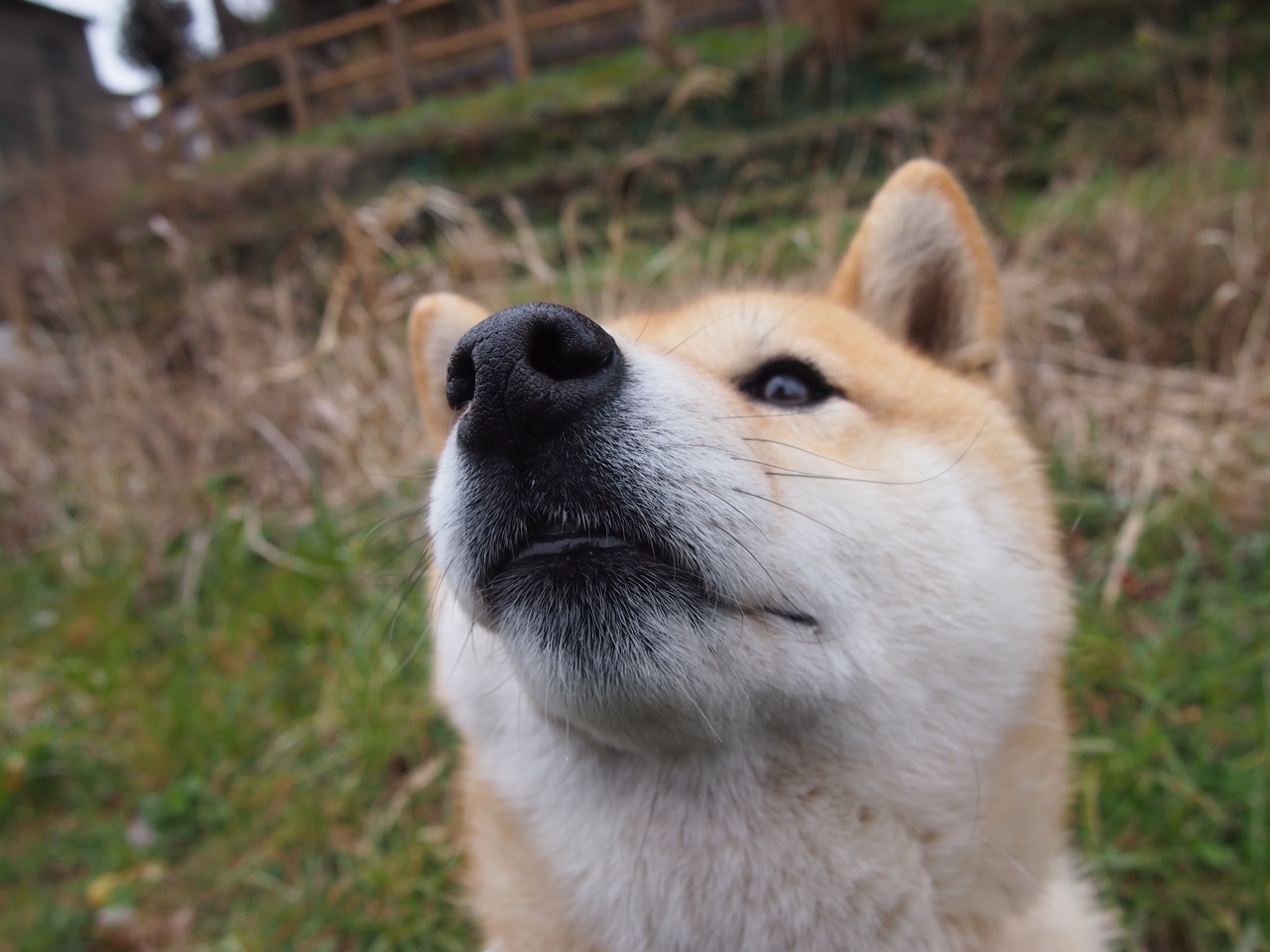 开云APP-土澳铁蹄踏碎蓝月，年度焦点之战，草根绝杀豪门的现代足球寓言