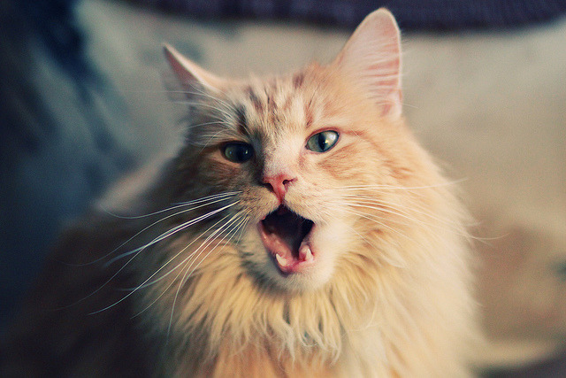 开云体育入口-当新疆队遇上杜兰特，个体天赋在篮球世界的绝对压制