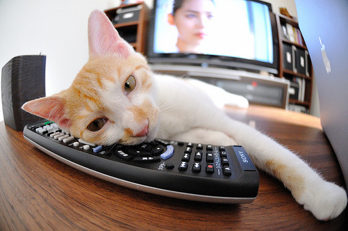 开云体育中国-奥运前哨战，拉文40分接管关键局，尼克斯掀翻绿衫军