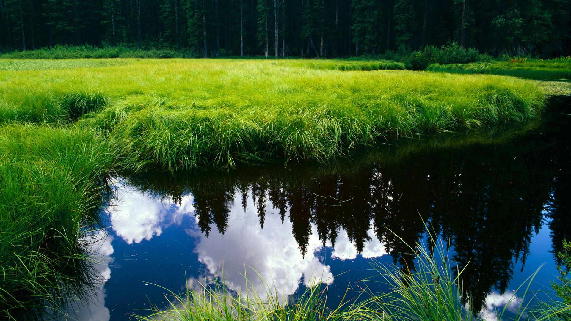开云下载-神话降临人间,那场颠覆宿命的绿茵焦点战