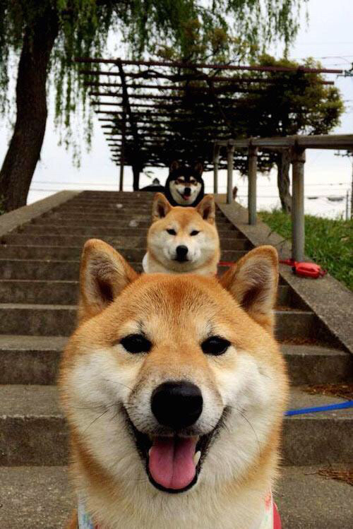 开云官网-极速争锋与王朝暗战，十字路口的赢家逻辑