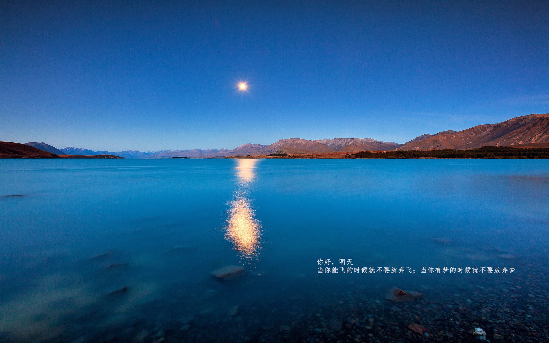 开云体育平台APP-勒沃库森对阵威尔士，坎特存在感拉满的中场统治