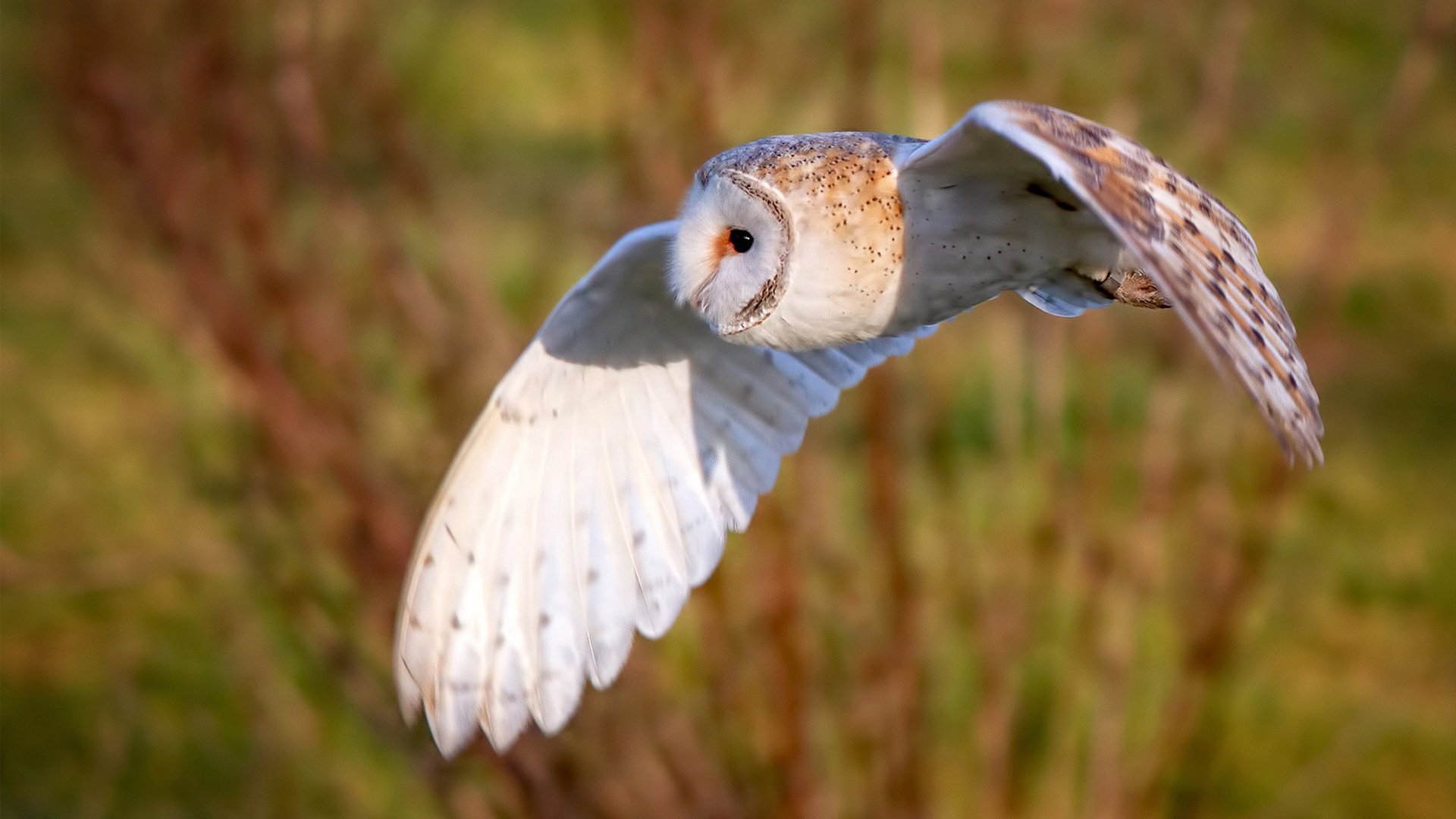 开云体育app-雷霆末节逆转快船,拉文关键17分定乾坤