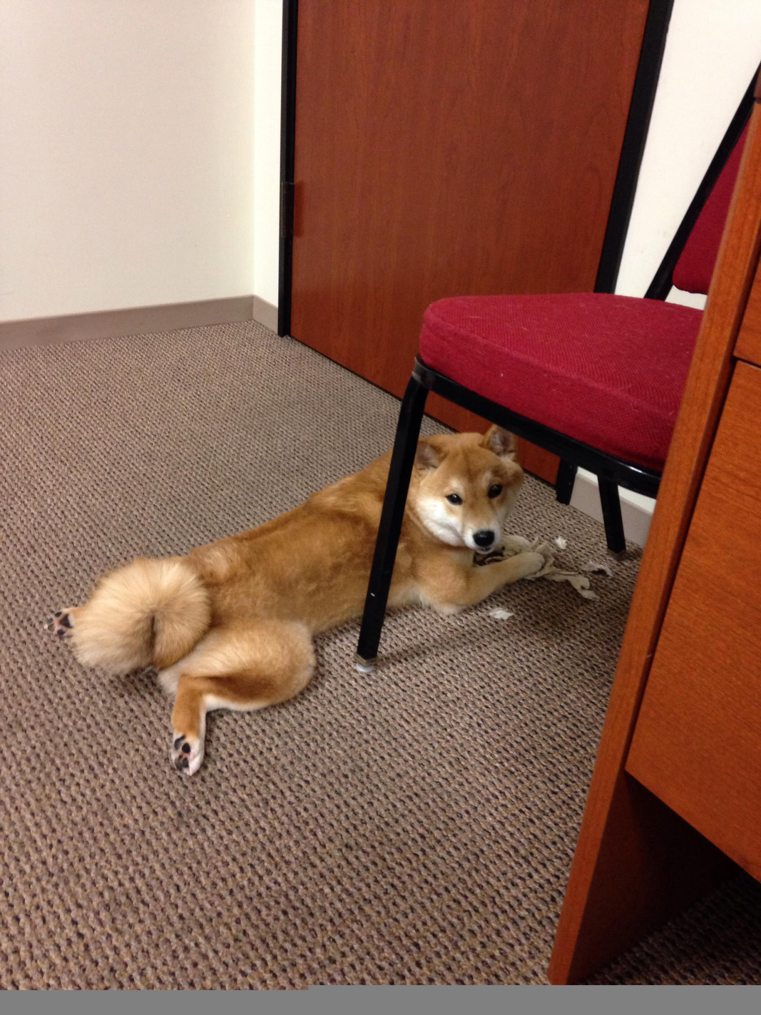 开云体育-曼联对阵韩国友谊赛，阿什拉夫数据全面爆炸，展现世界级边卫实力