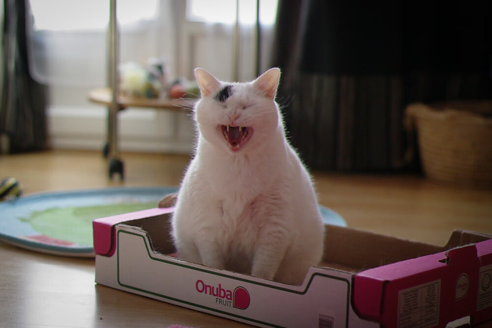 开云官网-舞台与闪电，当基米希遇见巴拉圭—论宏大叙事下的瞬间决胜